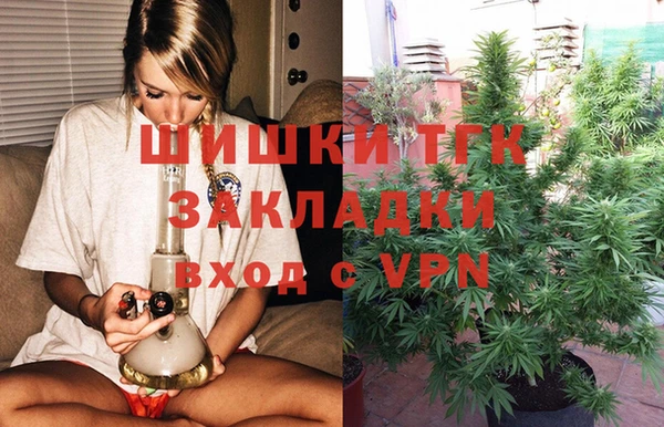 мет Алексин