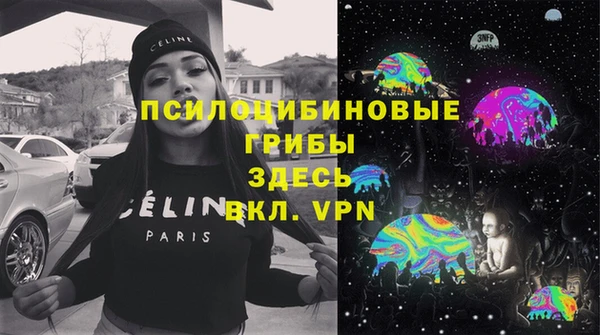стаф Алексеевка