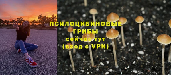 стаф Алексеевка