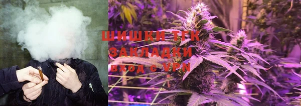 мет Алексин